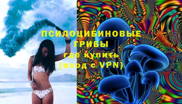 ГАЛЛЮЦИНОГЕННЫЕ ГРИБЫ Лагань