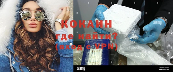 ГАЛЛЮЦИНОГЕННЫЕ ГРИБЫ Лагань