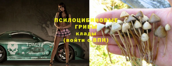 спиды Апатиты