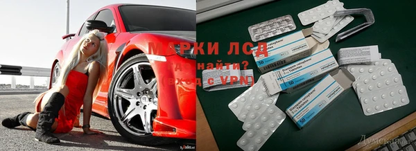 бошки Анива