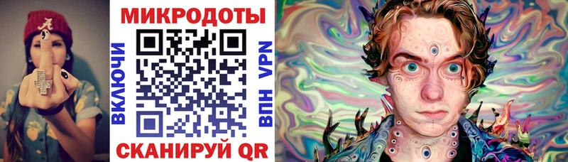 Купить где Камбарка Галлюциногенные грибы Psilocybine cubensis