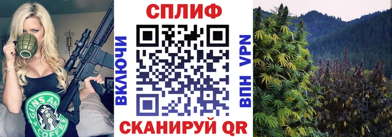 Купить закладки  Камбарка  МАРИХУАНА THC 21% 
